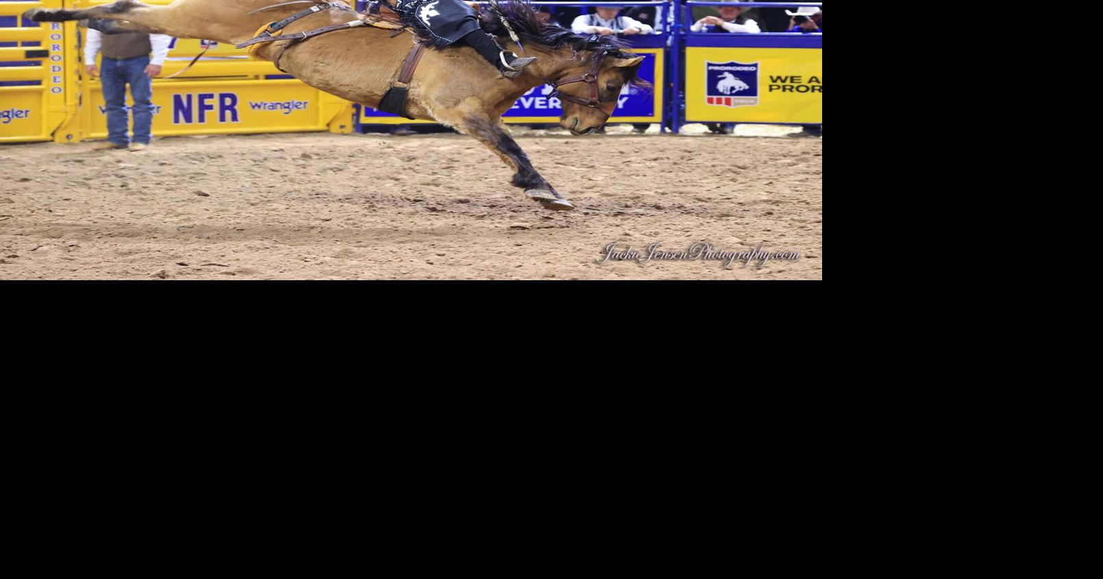 NFR Round 6: Newman, Meged win second place money in Wednesday morning ...