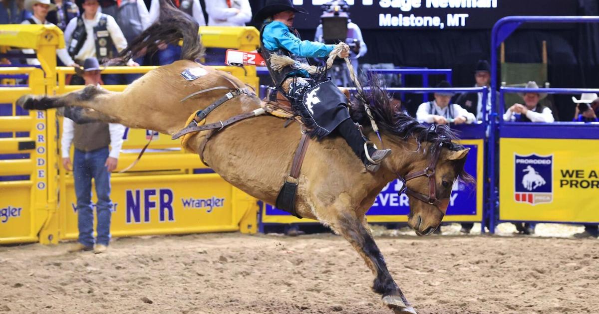 NFR Round 6: Newman, Meged win second place money in Wednesday morning ...