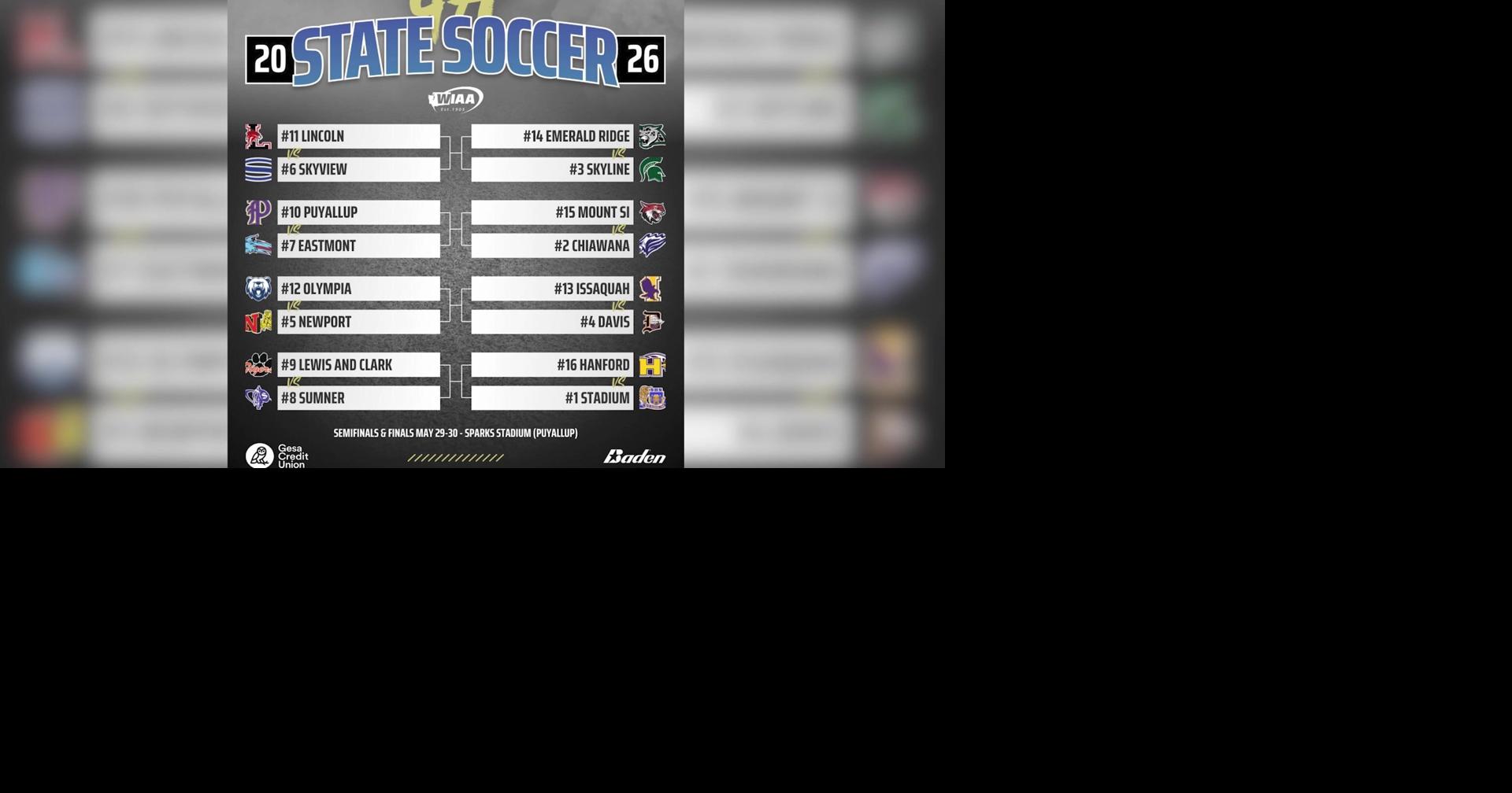Local teams set for boys soccer state tournament