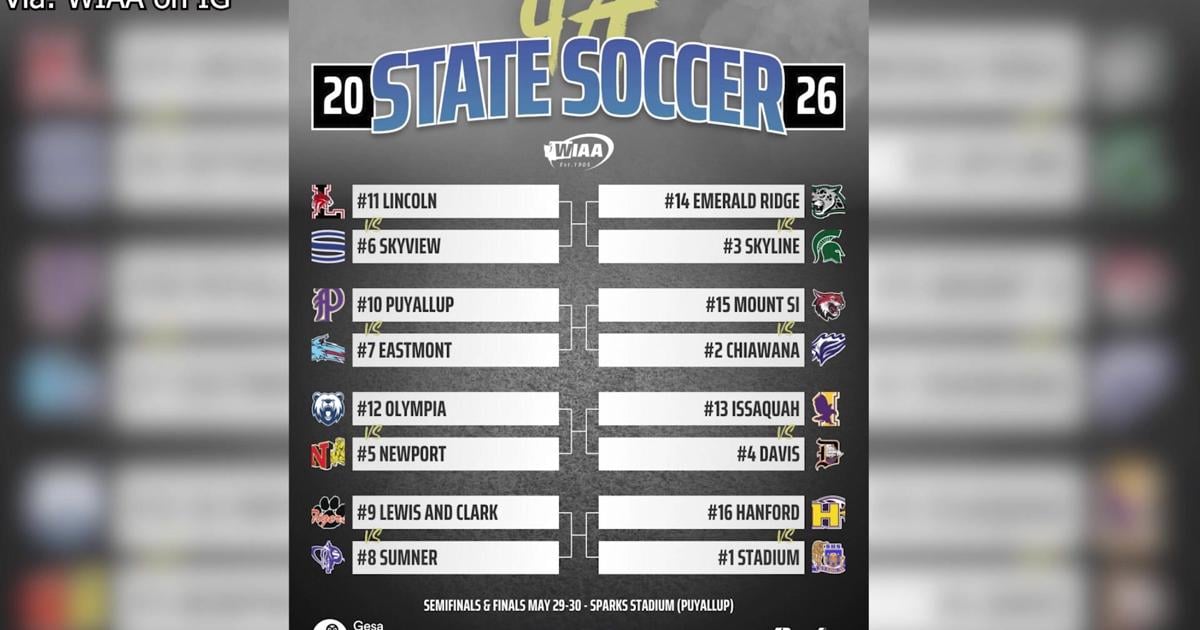 Local teams set for boys soccer state tournament