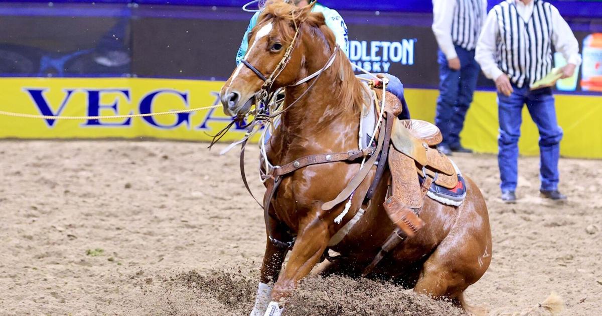 Rodeo Lead NFR Round 5: Miles City's Haven Meged holding on to average lead ...