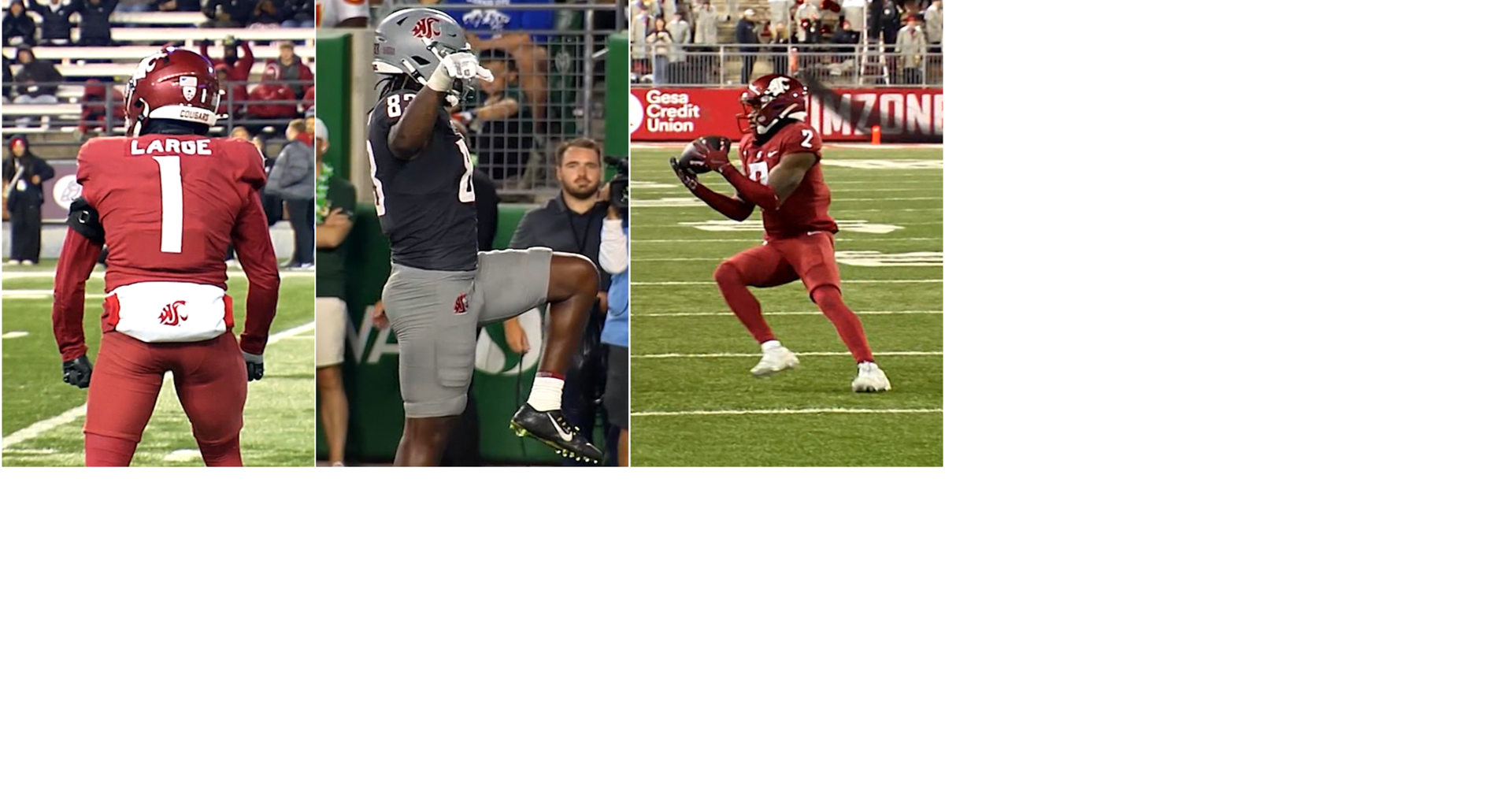 Washington State’s Tucker Large signs with Eagles; Humphrey, Faleye earn NFL camp invites