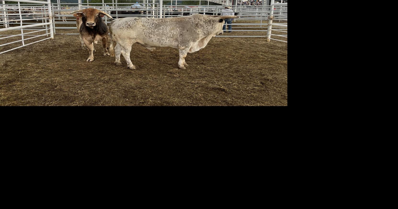 Pro Rodeo results: Monday, July 1 | More | swxlocalsports.com