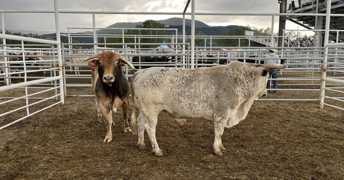 Pro Rodeo Results Pro Rodeo results: Monday, July 1 | More | swxlocalsports.com