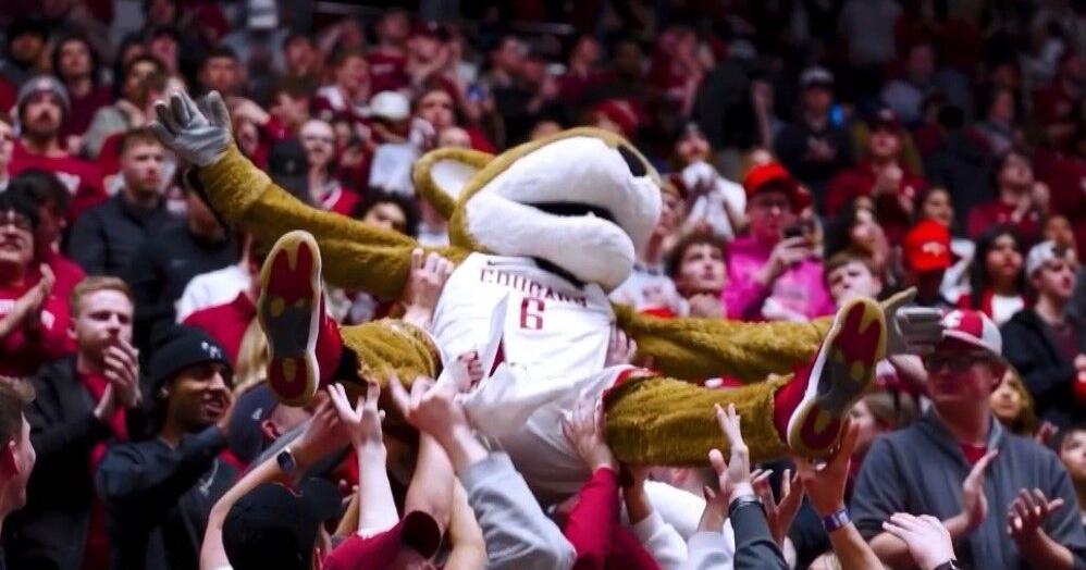 Washington State lands commit from Iceland, Tomas Thrastarson and adds two assistant coaches - Vimarsana News