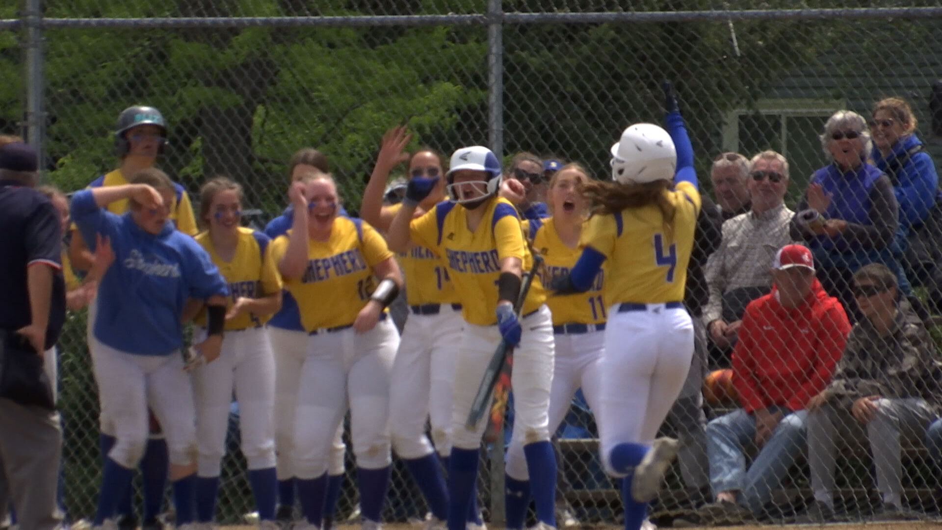 State B/C Softball: Florence-Carlton, Shepherd Roll To Unbeaten ...