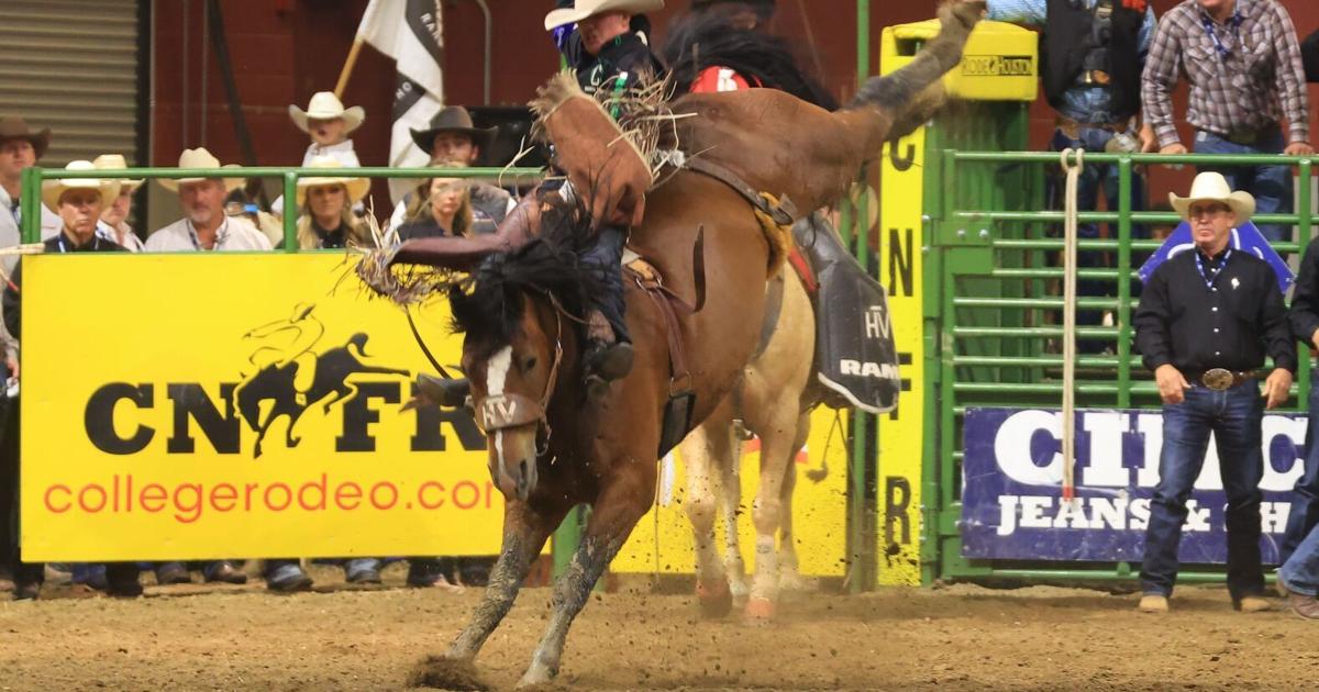 Columbus cowboy Weston Timberman wins second bareback CNFR championship ...