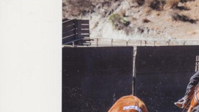 Hot Type From The Syv Equestrian Center Valley Life Syvnews Com
