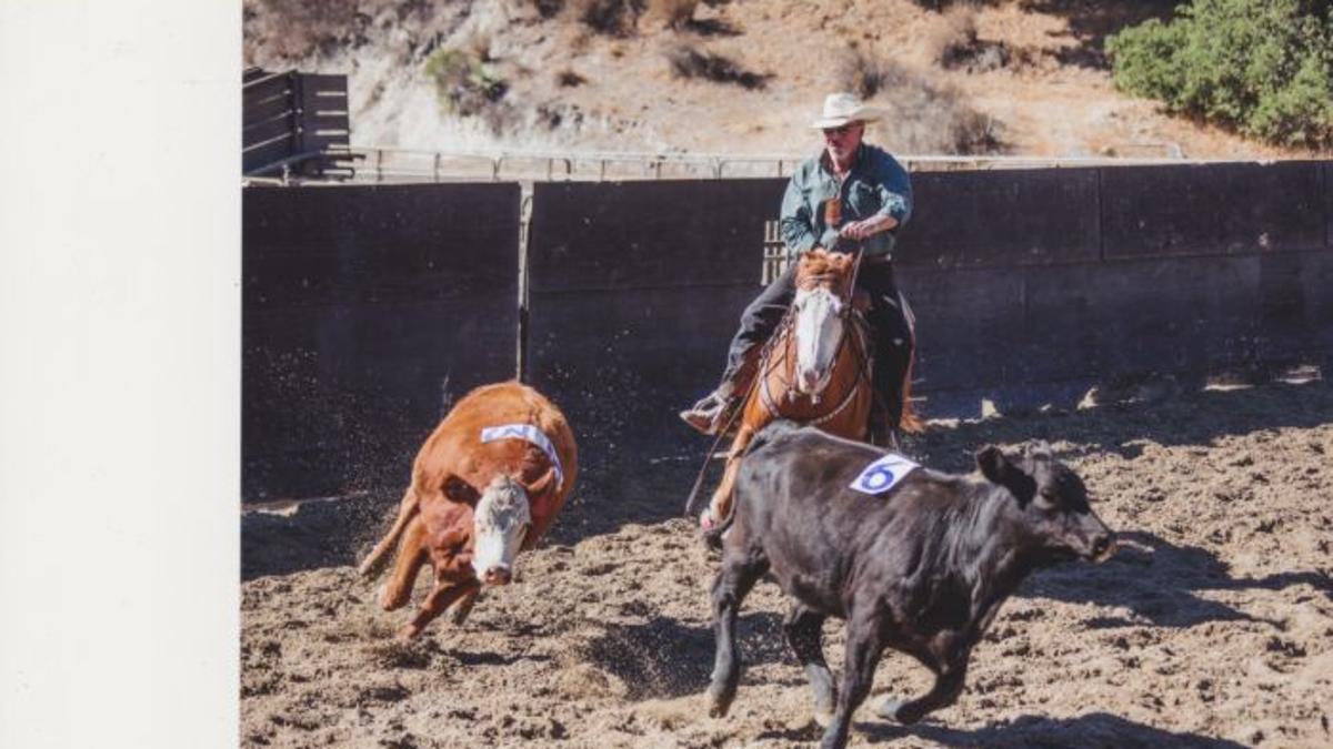 Hot Type From The Syv Equestrian Center Valley Life Syvnews Com
