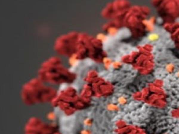 Coronavirus In Santa Barbara County Health Emergency Declared