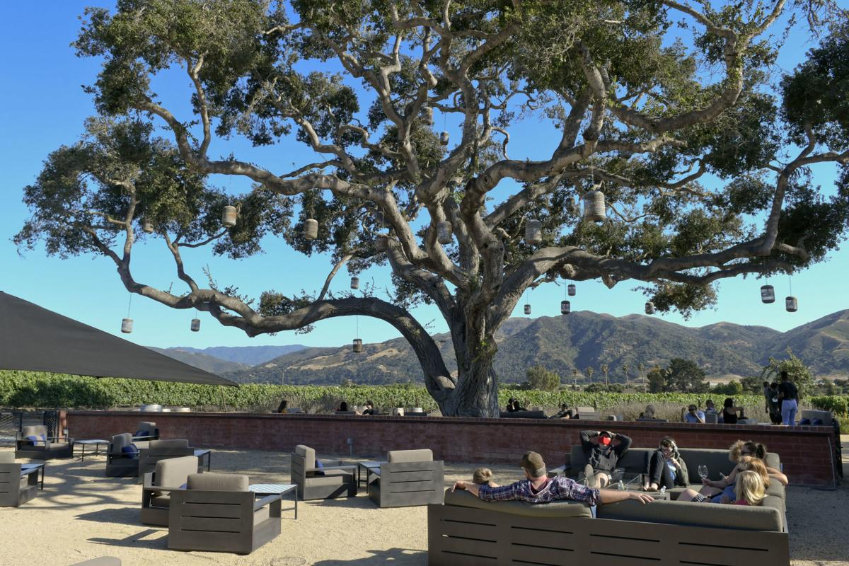 County S Small Wineries Hit Hard By Closure Of Tasting Rooms To Halt Spread Of Covid 19 Agriculture Syvnews Com