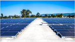 Fess Parker Winery takes sustainability to new level with solar energy
