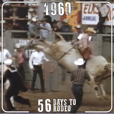 56 Days to Rodeo: Our photographers make memories! | Local news ...