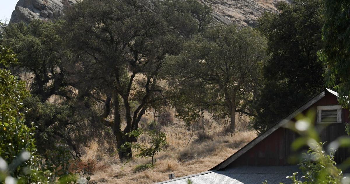 Rock Front Ranch permanently conserved for wildlife, grazing by ...