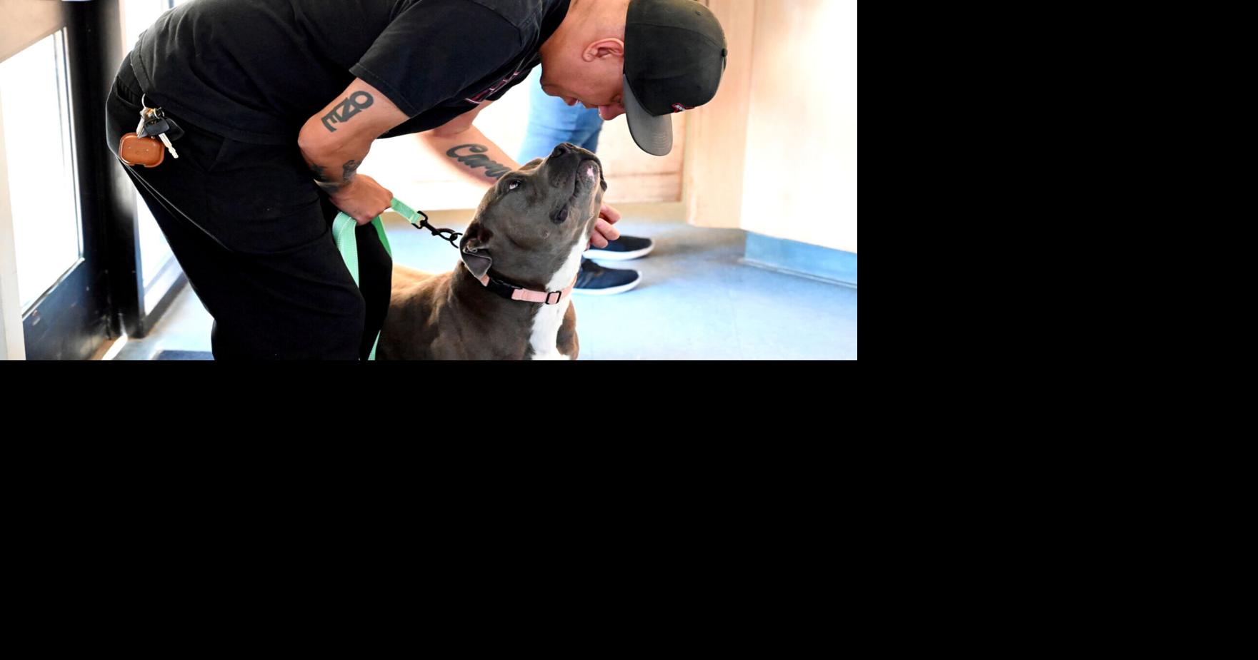 Animal Services 2023 service report: animal intake, volunteer hours ...