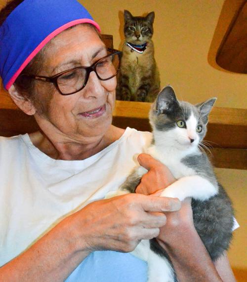 Santa Barbara County Going To The Cats This Weekend With Free
