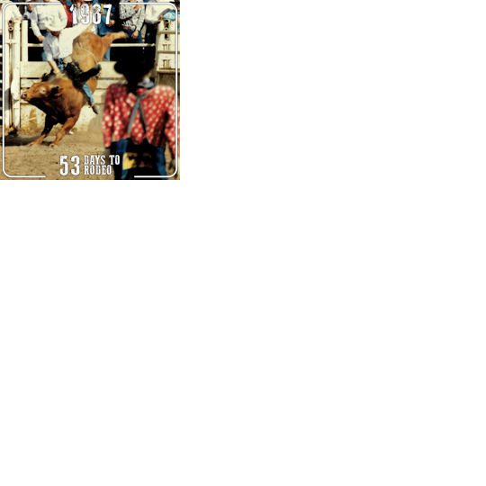 53 Days to Rodeo: How much do you know about bull riding? | Local news ...