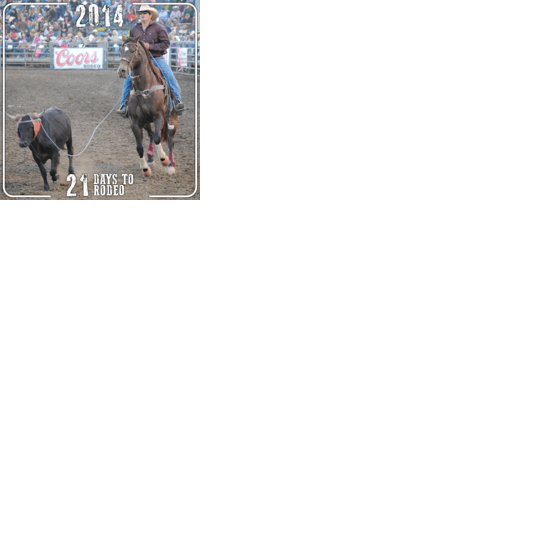 21 Days to Rodeo: See some team roping action in person! | Local news ...