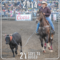 Team Roping Joe Day 21 Days to Rodeo: See some team roping action in person! | Local news ...