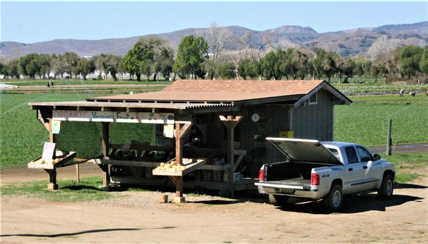 Farmers, ranchers suggest changes to Santa Barbara County&rsquo;s draft 