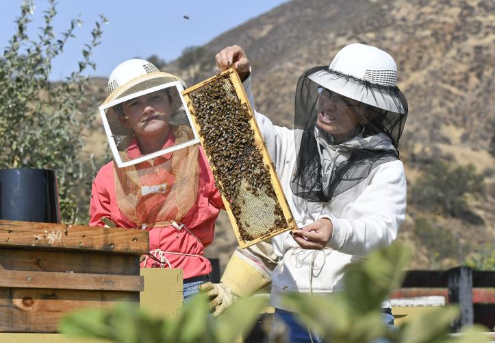 Rock Front Ranch permanently conserved for wildlife, grazing by ...