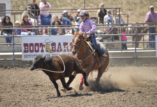 Mini Rodeo Bronc GALLERY: Minetti Mini Rodeo | Local news | syvnews.com
