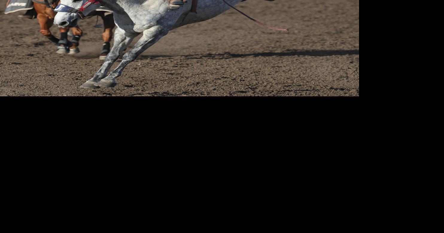 Rough night for team ropers at 75th annual Santa Maria Elks Rodeo ...