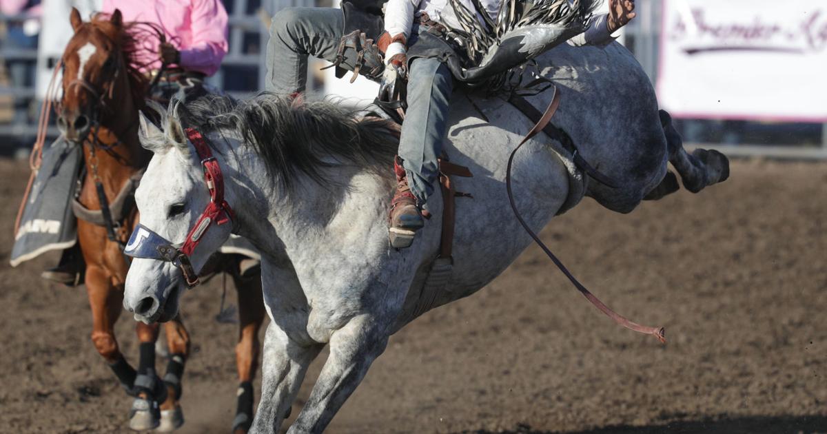 Rough night for team ropers at 75th annual Santa Maria Elks Rodeo ...