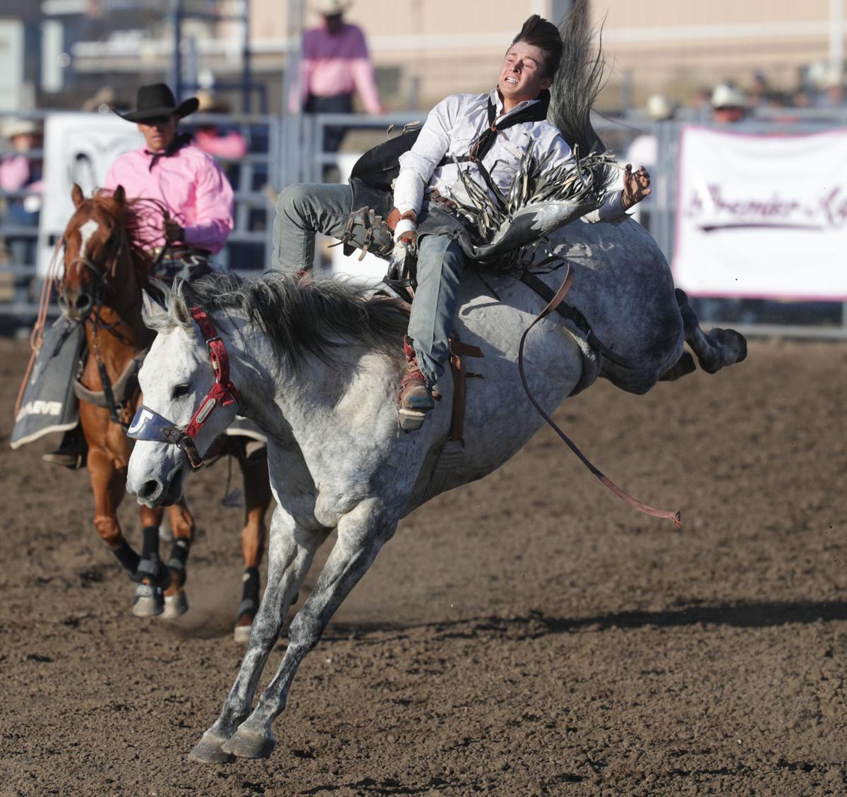 Rough Night For Team Ropers At 75th Annual Santa Maria Elks Rodeo Local Syvnews Com