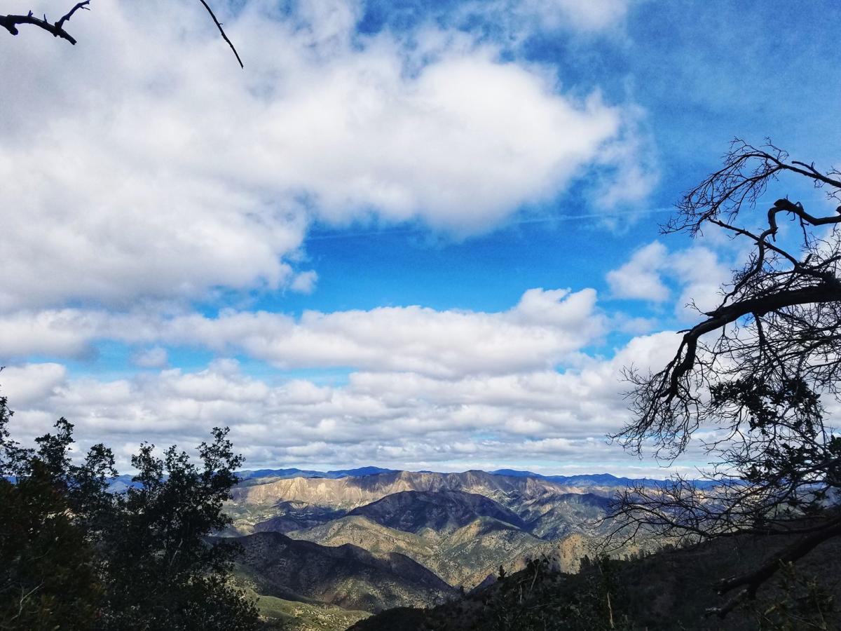 Judith Dale: Los Padres National Forest in your backyard ...