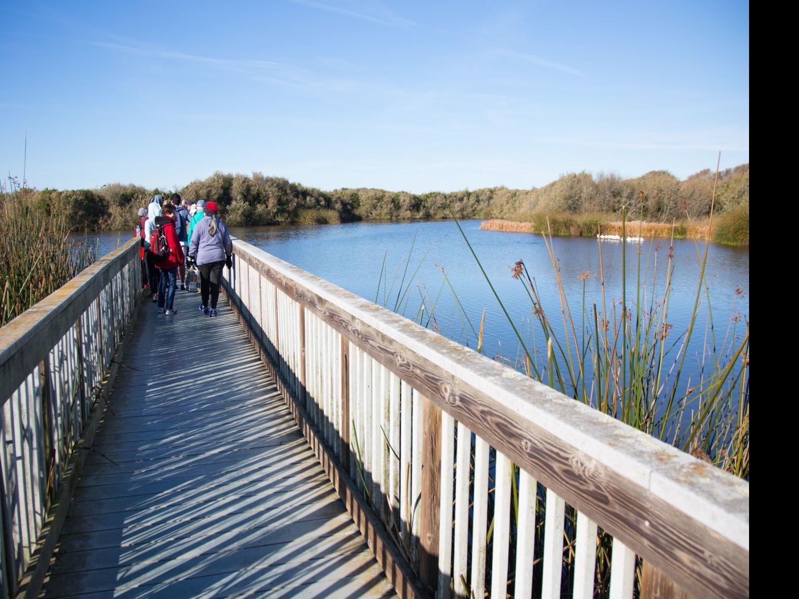 Online Forum Airs Divergent Opinions Of State Parks Oso Flaco Lake Proposal Government And Politics Syvnews Com