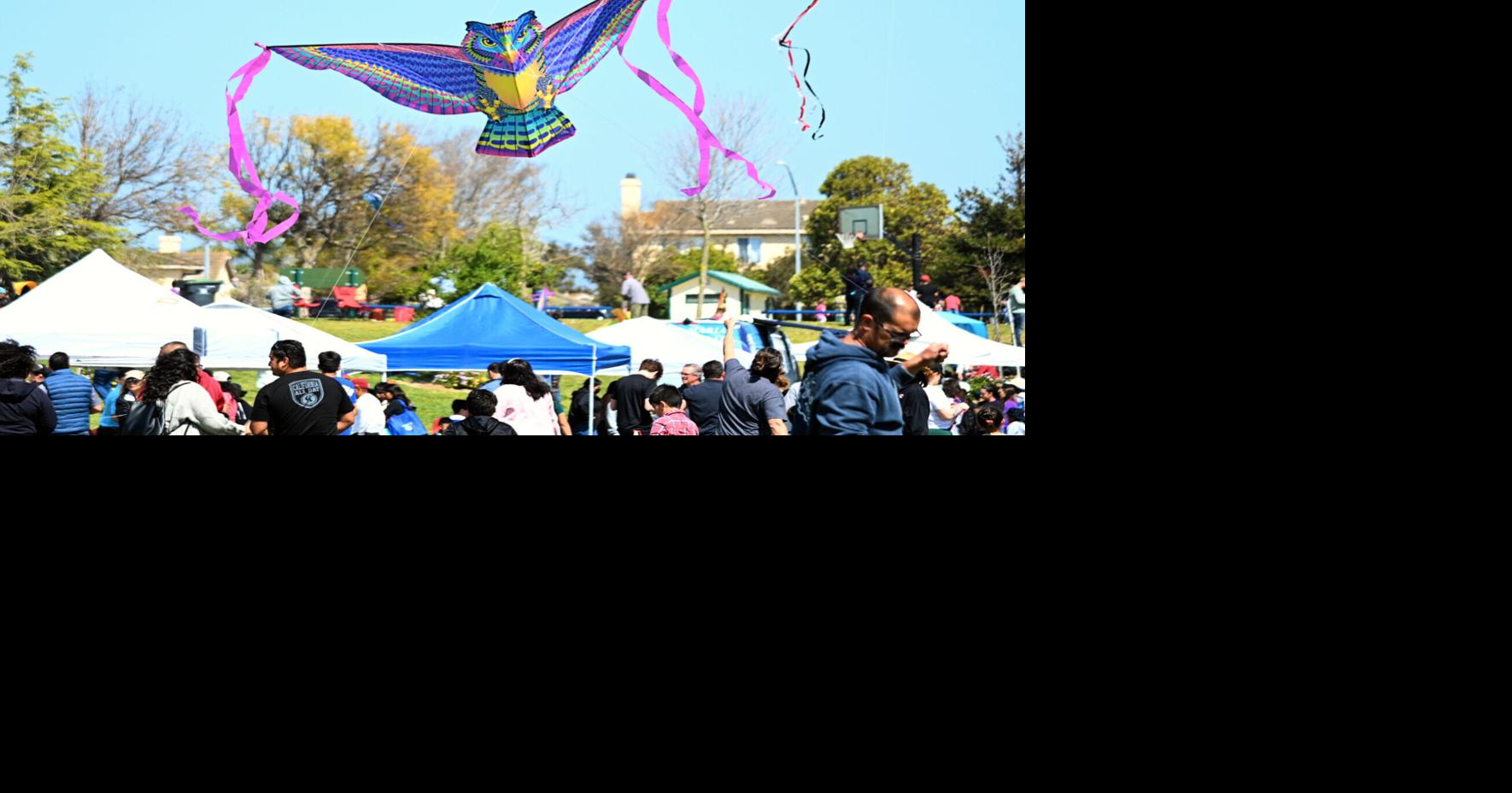 Family Kite Festival returns Sunday to Rotary Park | About Town | About ...