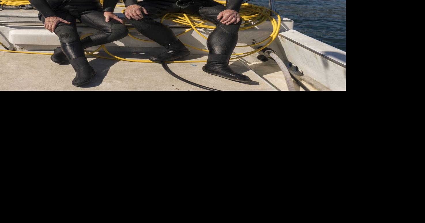 Jamie Edlin: 'Sea' Stephanie Fish - A day with California's only female ...