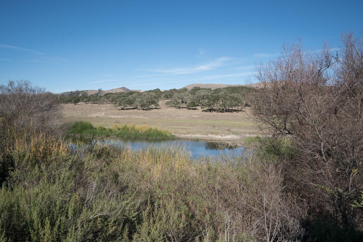 Land Trust easement with Campbell family