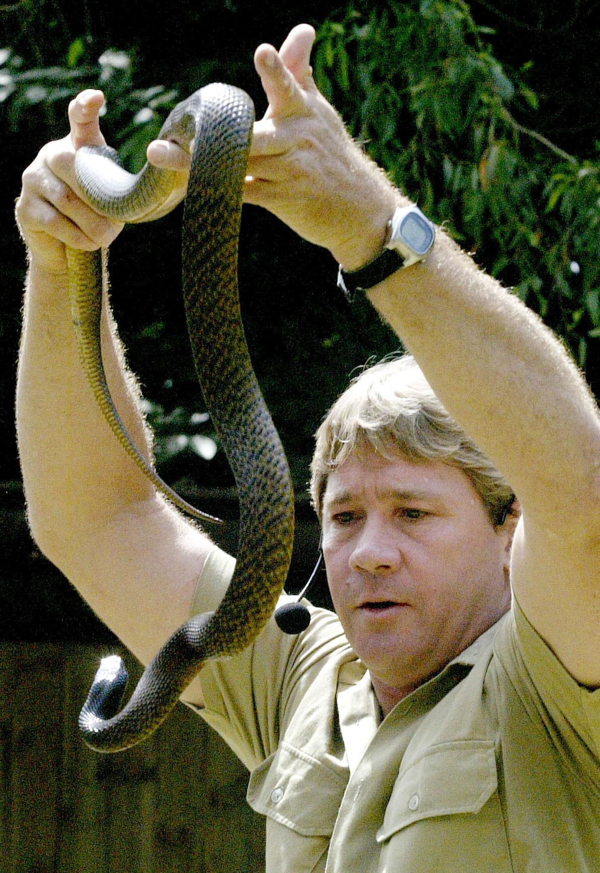 steve irwin with snake pop