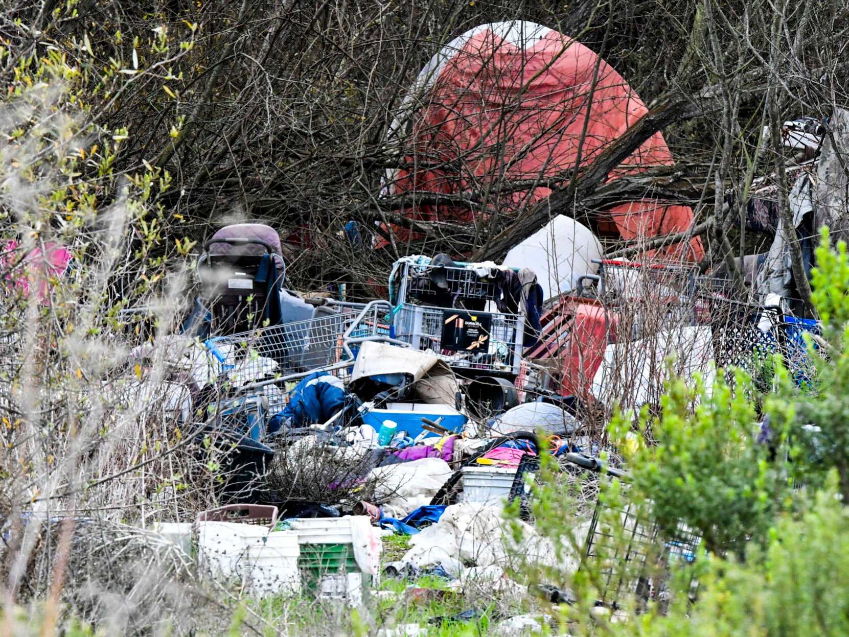 Lompoc City Council Votes To Pursue Second Large-scale Riverbed Cleanup ...