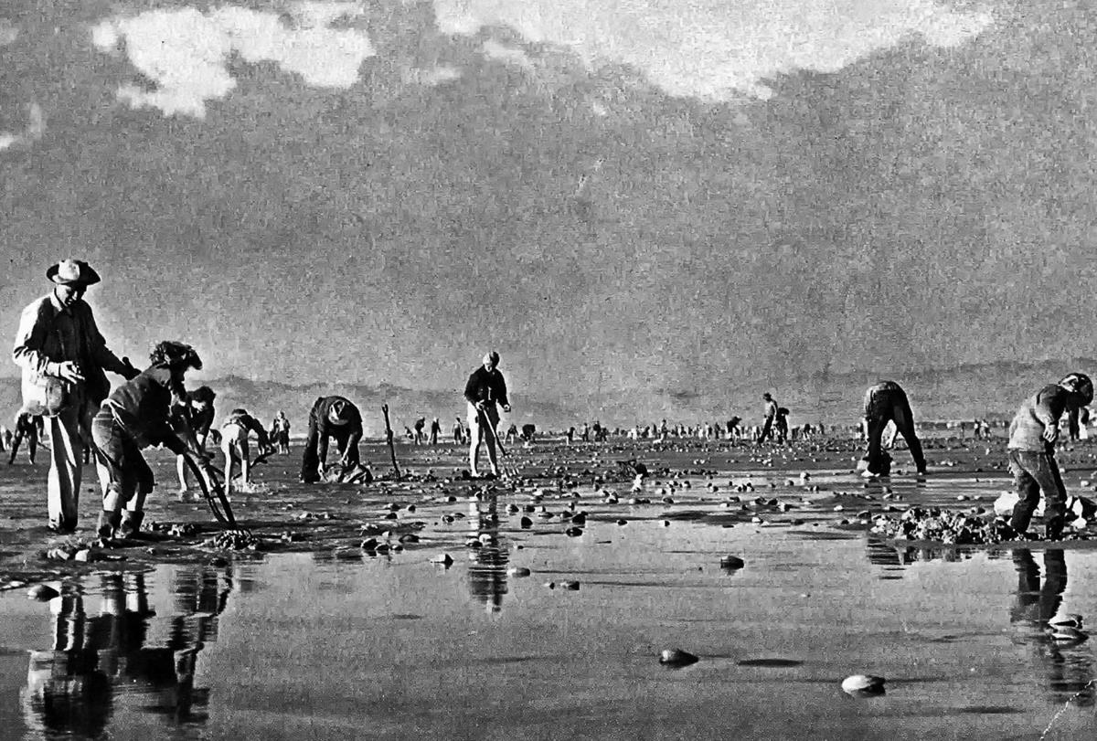 Dig the Pismo Beach Clam Festival this weekend: Pismo Pier ...