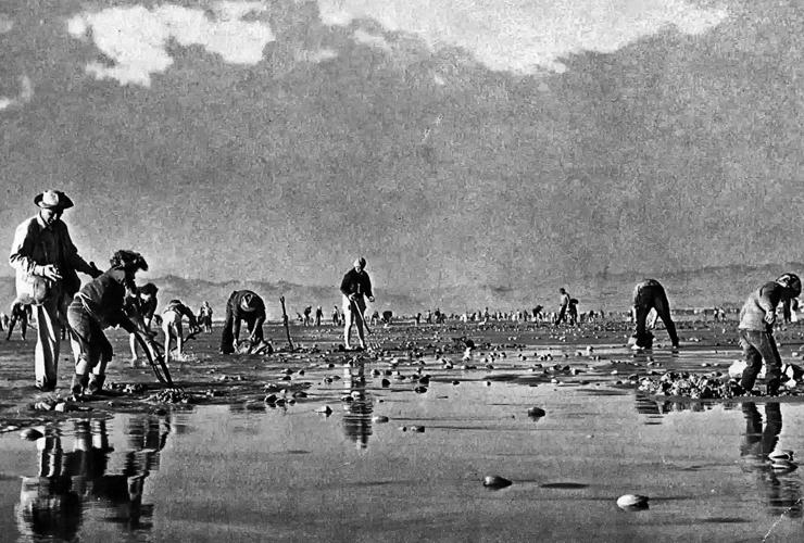 Dig the Pismo Beach Clam Festival this weekend Pismo Pier reopens