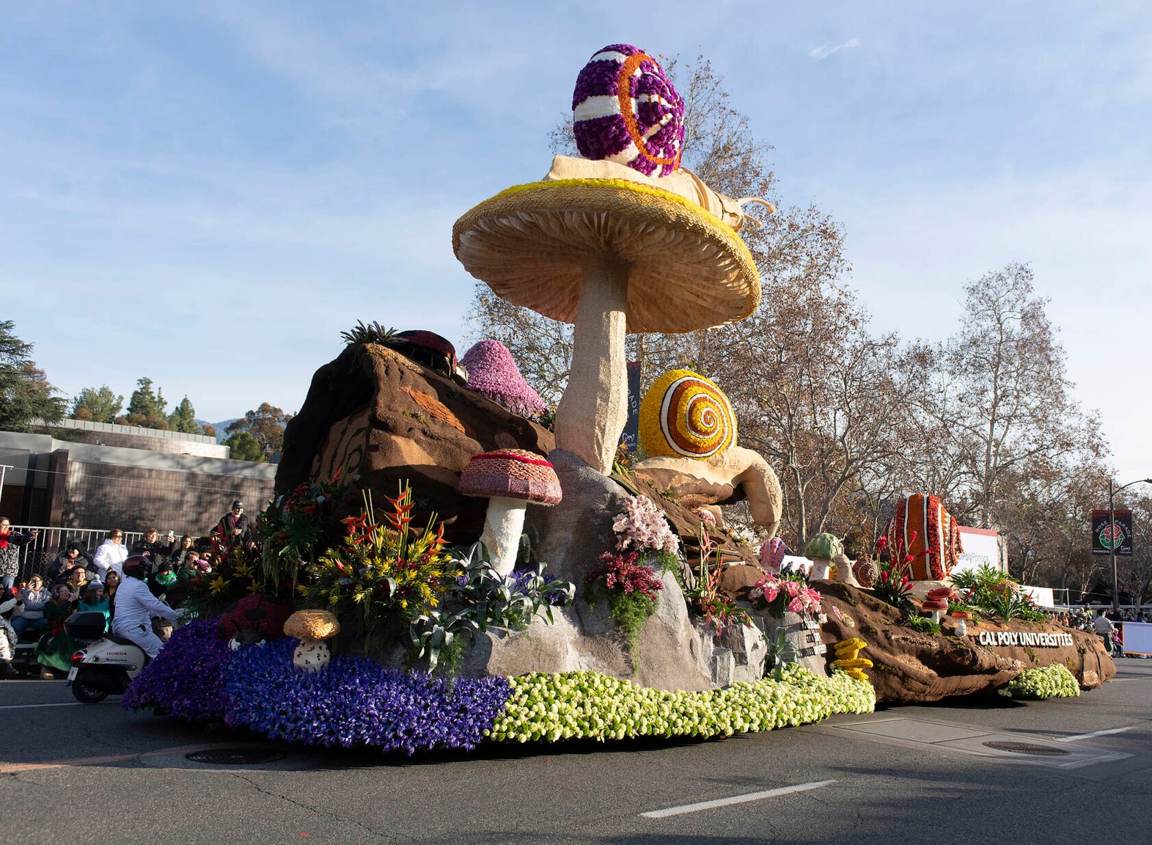 Cal Poly Float Wins Extraordinaire Award At Rose Parade | Photos ...