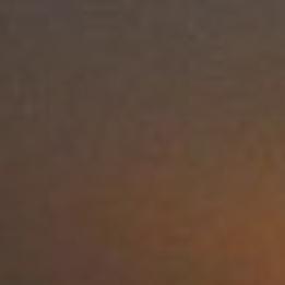 Ballard Woman Fights Back After Stroke Valley Life Syvnews Com