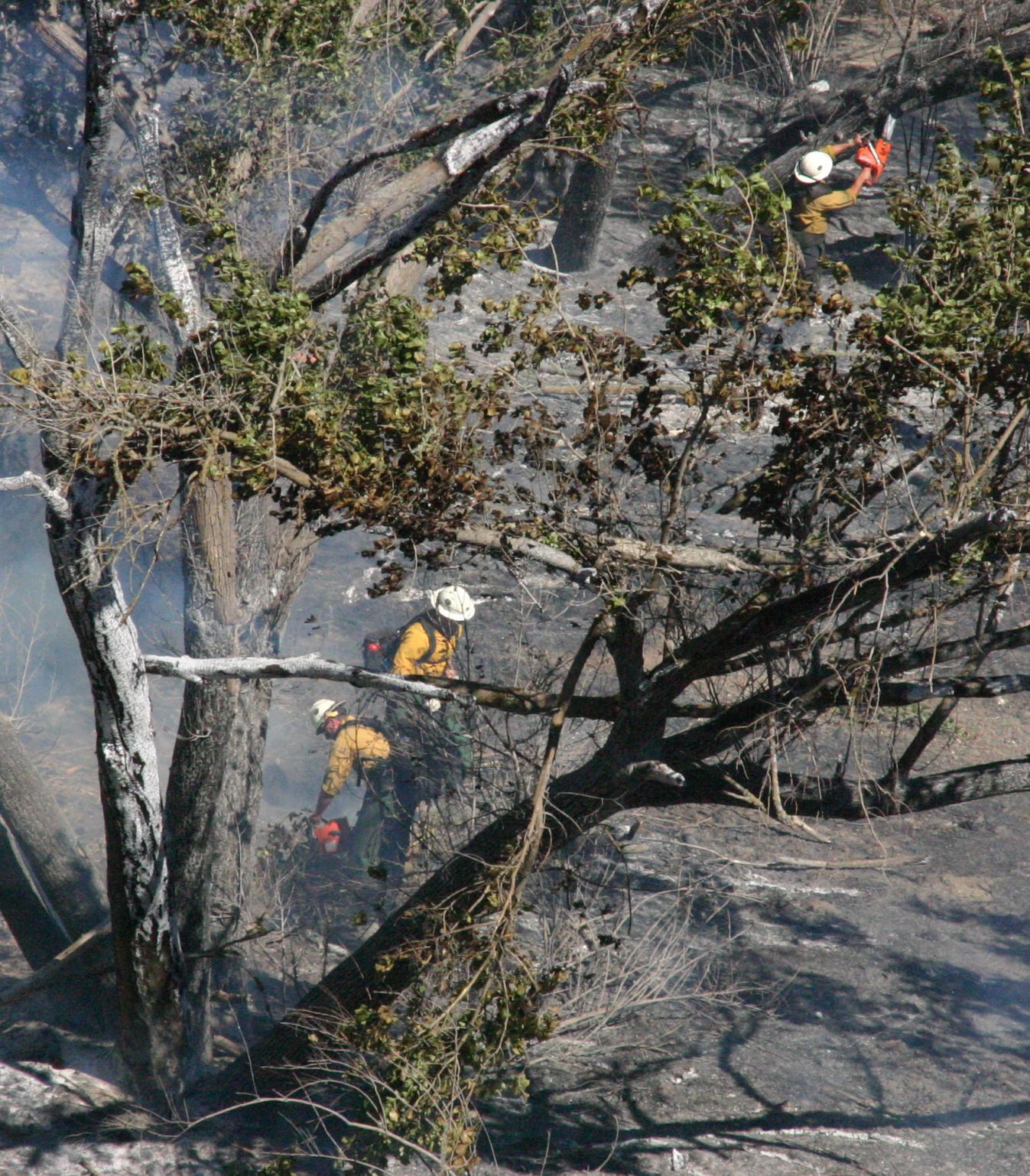 Update: Vegetation Fire In Santa Ynez Valley Contained | Local News ...