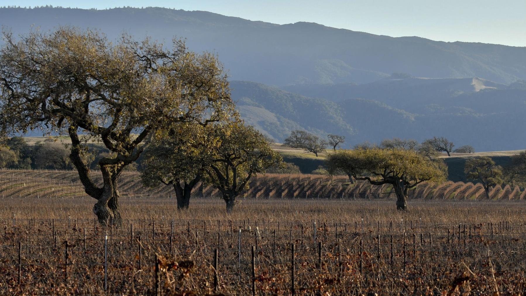 California California