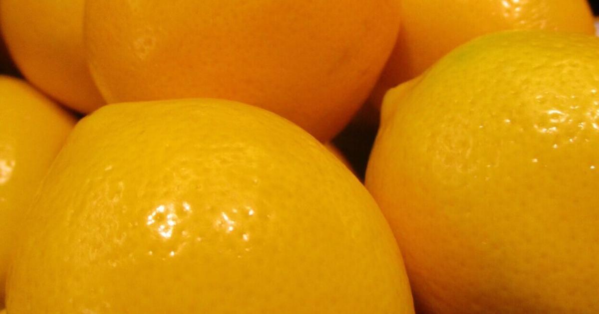 Citrus fruit brightens wintry gardens | Tony Tomeo | Home & Garden Citrus fruit brightens wintry gardens | Tony Tomeo | Home & Garden