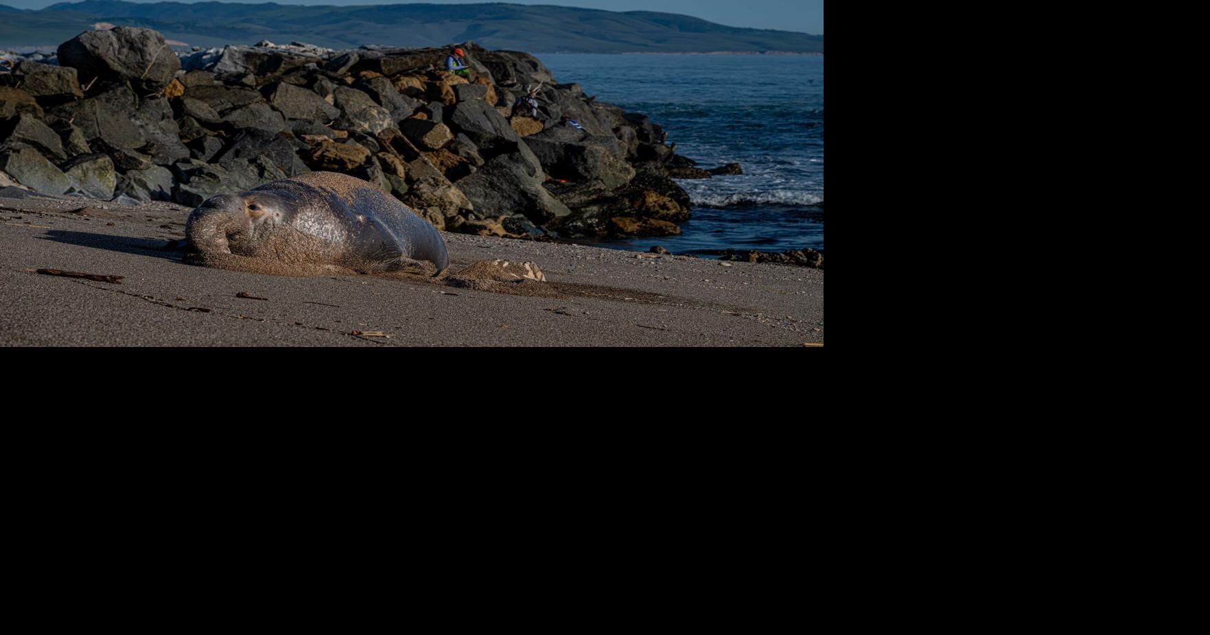 Cool nights, warm afternoons, no rain in sight | Central Coast Weather Report