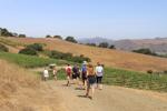 Hikes enhance wine-tasting experience at Alma Rosa Winery