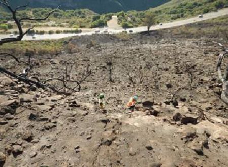 Cave fire above Highway 154
