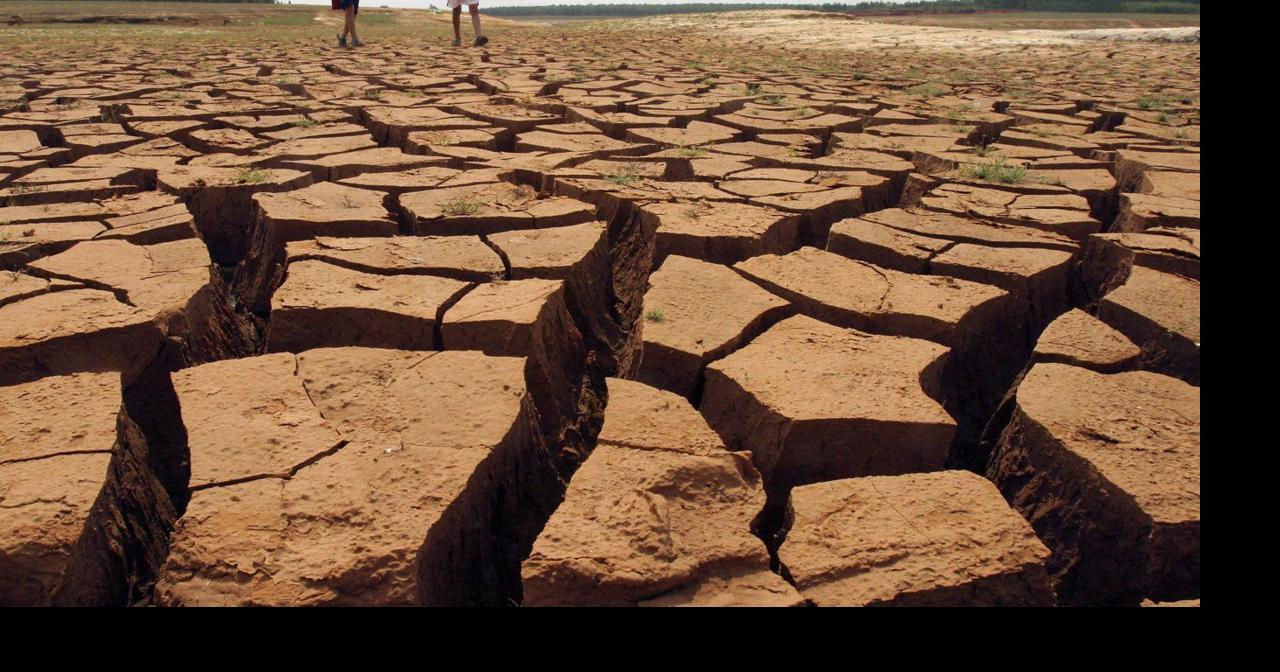 Thousands Of Scientists Around The World Declare A 'Climate Emergency ...