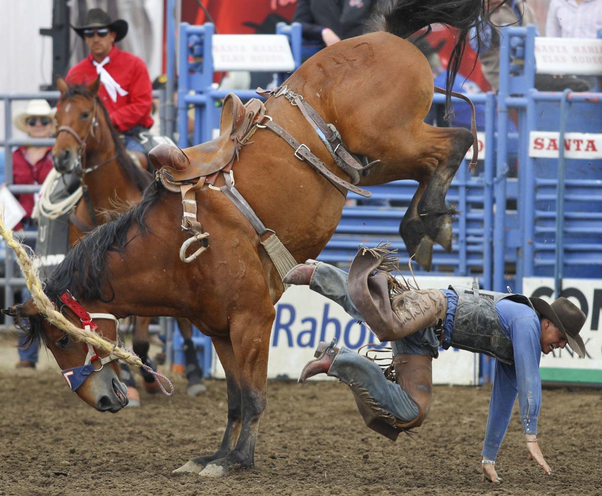 Record numbers: Santa Maria Elks Rodeo raises $800K for charitable causes | Local ...1200 x 989