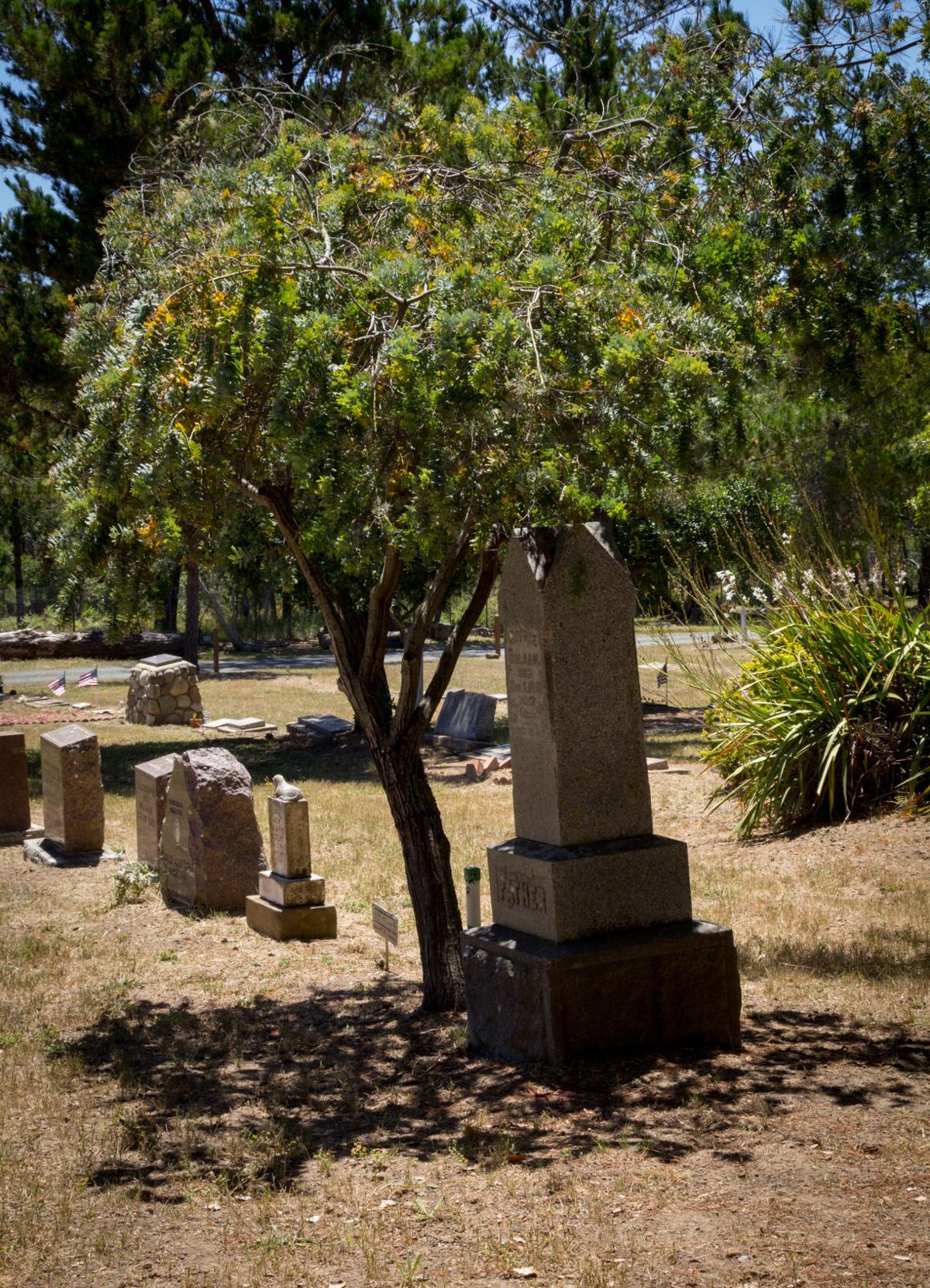 GALLERY A walk through Cambria Community Cemetery, founded in 1870