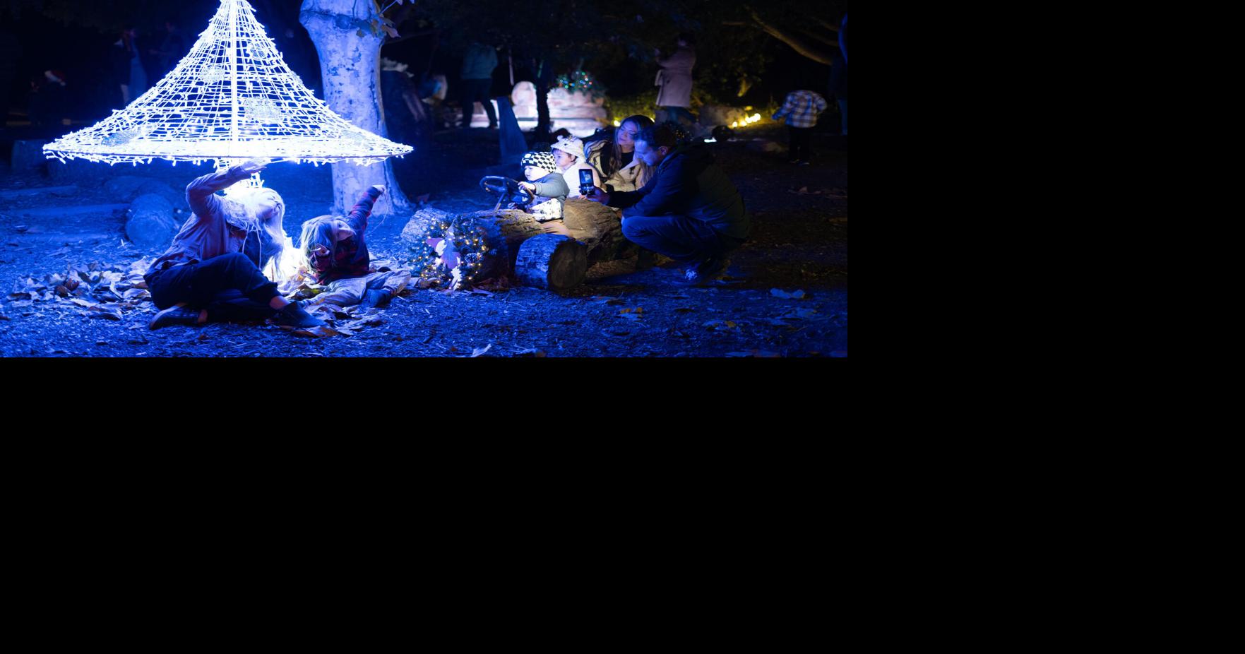 SYV Holiday Lights Festival wows crowds with light displays, live reindeer exhibit Local news